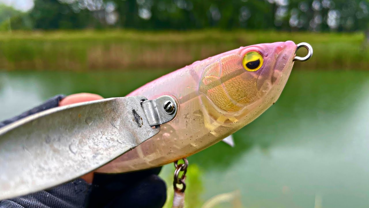 Top / How to catch bass with a feather lure, explained while