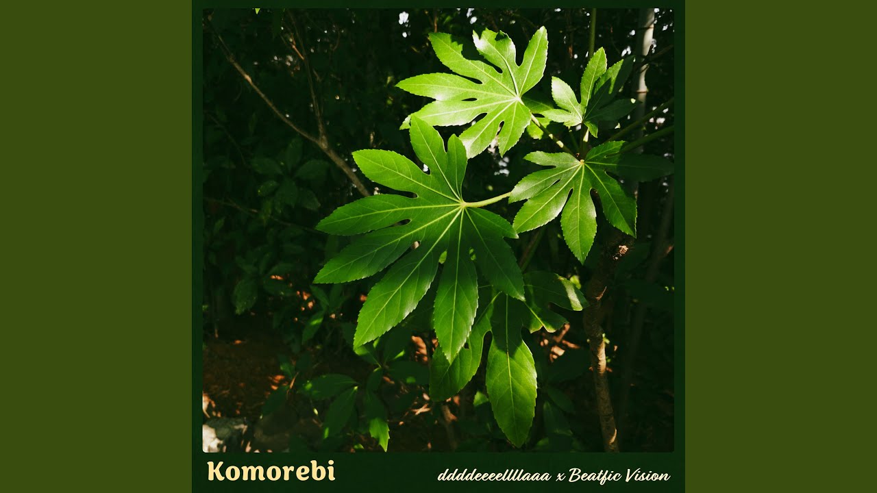 Watch Komorebi on YouTube Watch Komorebi on YouTube