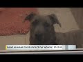 Paws Humane avoids space-related euthanasia, still 'not out of the woods'
