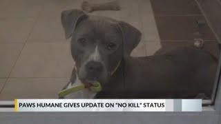 Paws Humane avoids space-related euthanasia, still 'not out of the woods'