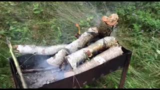 Водоем Дикий Карп  Рыбалка Красивые места.