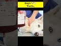 dog facts / amazing facts of dogs || कुत्तों के बारे में जानकारी #dog #animal #dogfacts