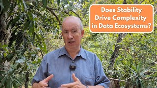 Does Stability Drive Complexity in Data Ecosystems?