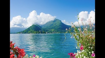 ولا تحسبن الله غافلا عما يعمل الظالمون تلاوة خاشعه مبكيه جدا