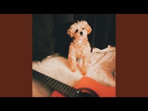 みゆな　sing for you LIVE | みゆな Official Web Site