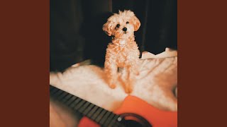 my life (Sing for you ver.)