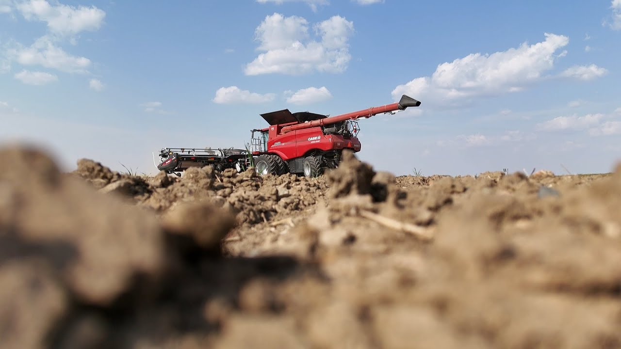 Last Field to Thresh 2025 with some farm history