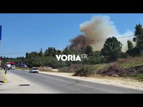 Χαλκιδική: Επεκτείνεται η φωτιά στη Σίβηρη, το 112 ζητά απομάκρυνση των κατοίκων