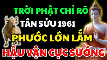8 Dấu Hiệu Cho Thấy Tuổi Tân Sửu 1961 Có Âm Đức Lớn – Trời Ban Phúc Lộc, Tổ Tiên Độ Trì Suốt Đời!