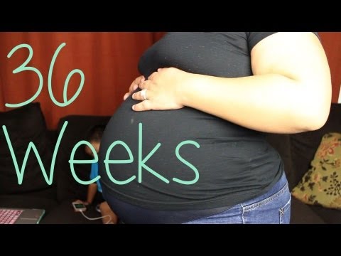 36 Week Pregnancy Update Plus Size Belly Shot Diaryoflsb Youtube