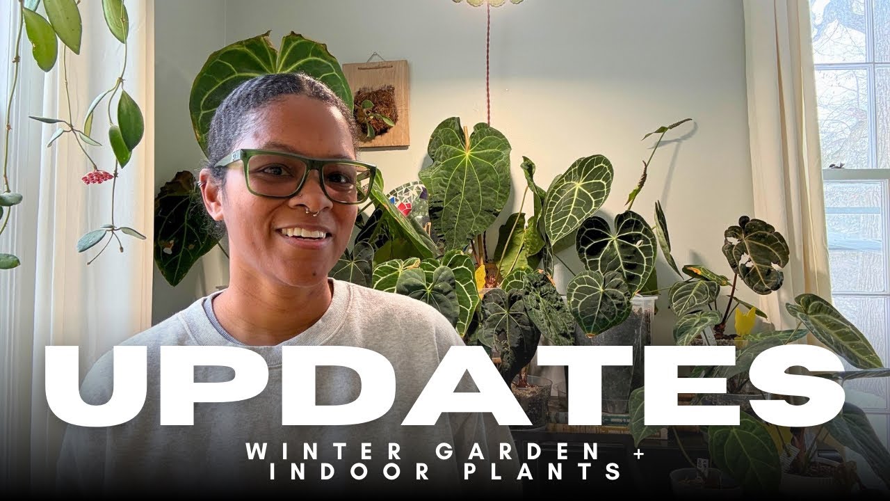 Обновление информации о зимнем саду | Новости о комнатных растениях | Что происходит этой зимой |...