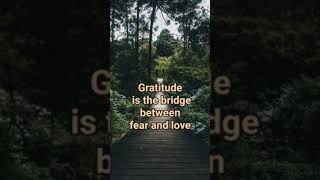 Gratitude is the bridge between fear and love #affirmations #innerlight#raisefrequency #higherself