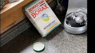 “borax, sugar mixture” GET RID of ANTs (simple solution that works)
