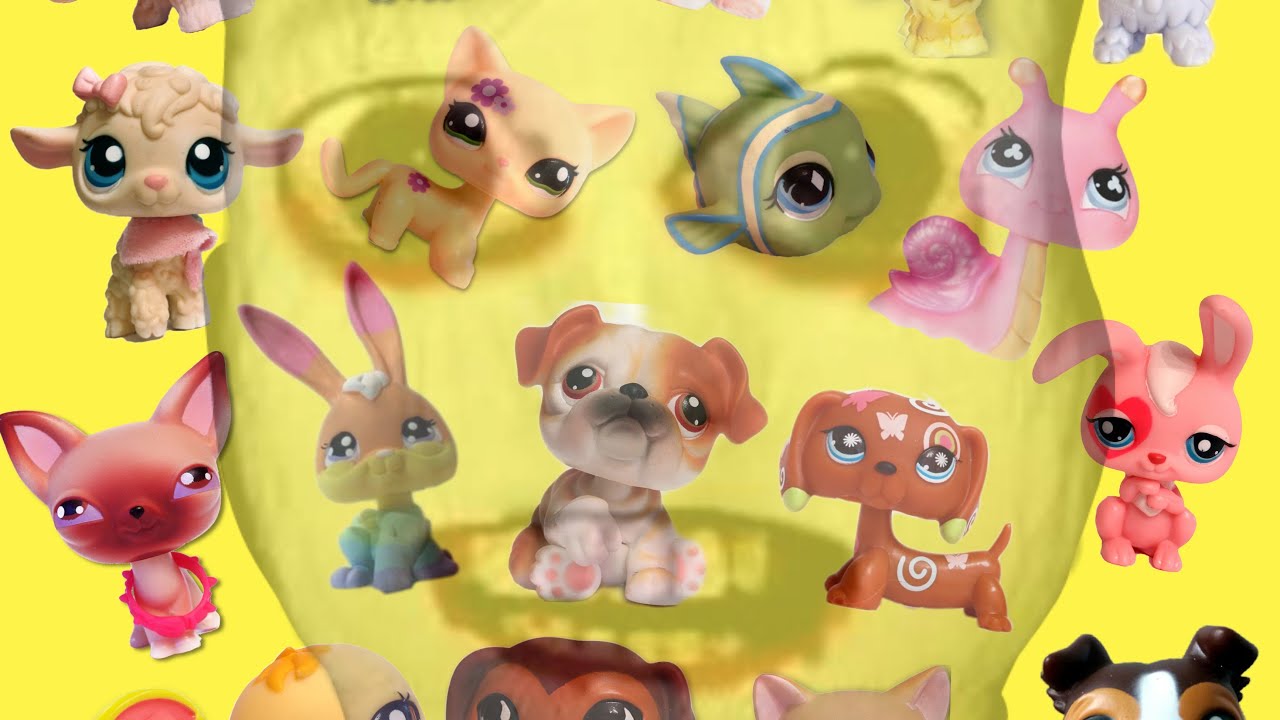 LPS POORPULAR 🐕🤑  