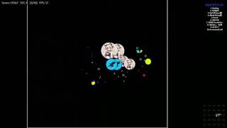Agar.io / Real Time Splitrunning #3