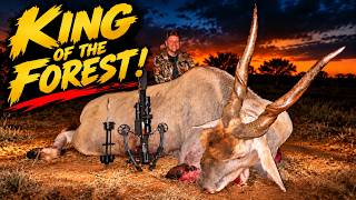 The King of the Forest--Massive Eland with a CROSSBOW!