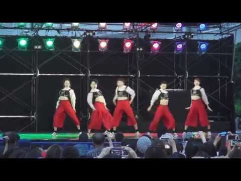 DOGMA 「Dance Dynamite 2015 決勝(準優勝)」7/5