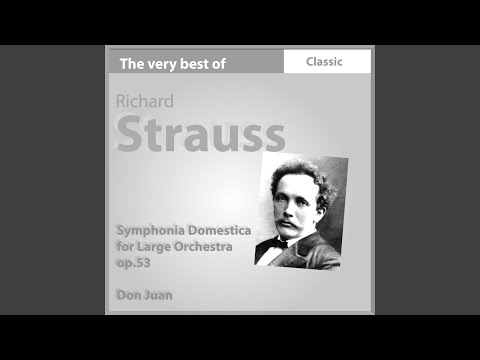 Symphonia Domestica For Large Orchestra, Op. 53: Thema I - Thema II - Thema III. Bewegt,...