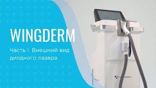 Обзор диодного лазера Wingderm. Часть I. Внешний вид