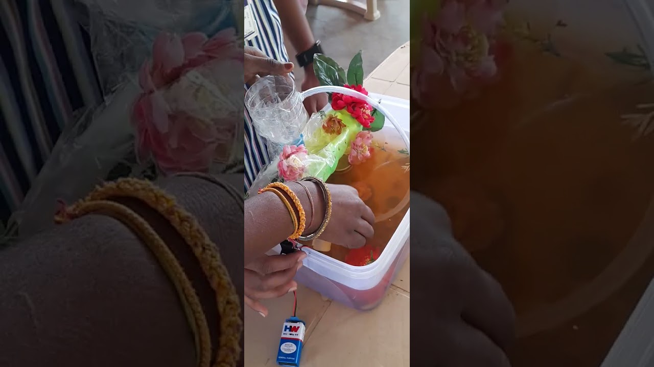 Science project #srivenkatasaividyanikethan #school