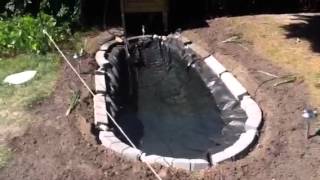 Mon bassin de jardin avec poisson [HD]