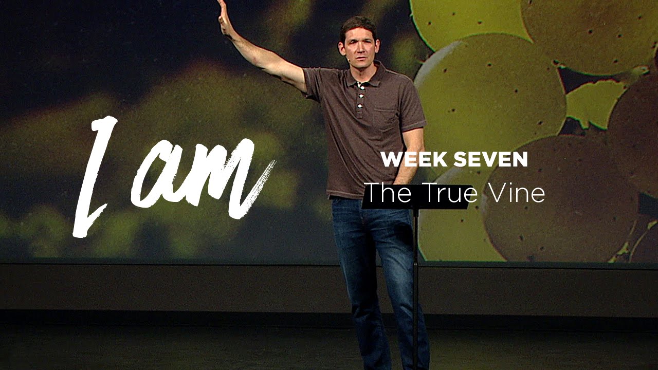I Am (Part 7) - The True Vine
