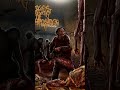 Stages Of Decomposition：Piles Of Rotting Flesh #slammingdeathmetal #technicaldeathmetal