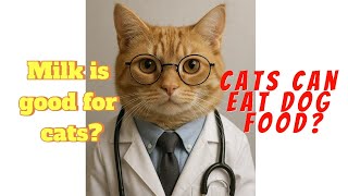 10 Cat Myths You Still Believe 😼 (Debunked!)