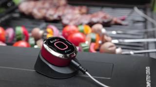 Weber iGrill Mini - Van der Garde Tuinmeubelen