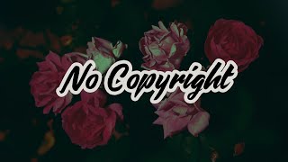 No Copyright Music / LoFi Music for Vlog No Copyright / Rose / SoulProdMusic