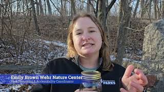 Wehr Nature Center Maple Tapping Workshops