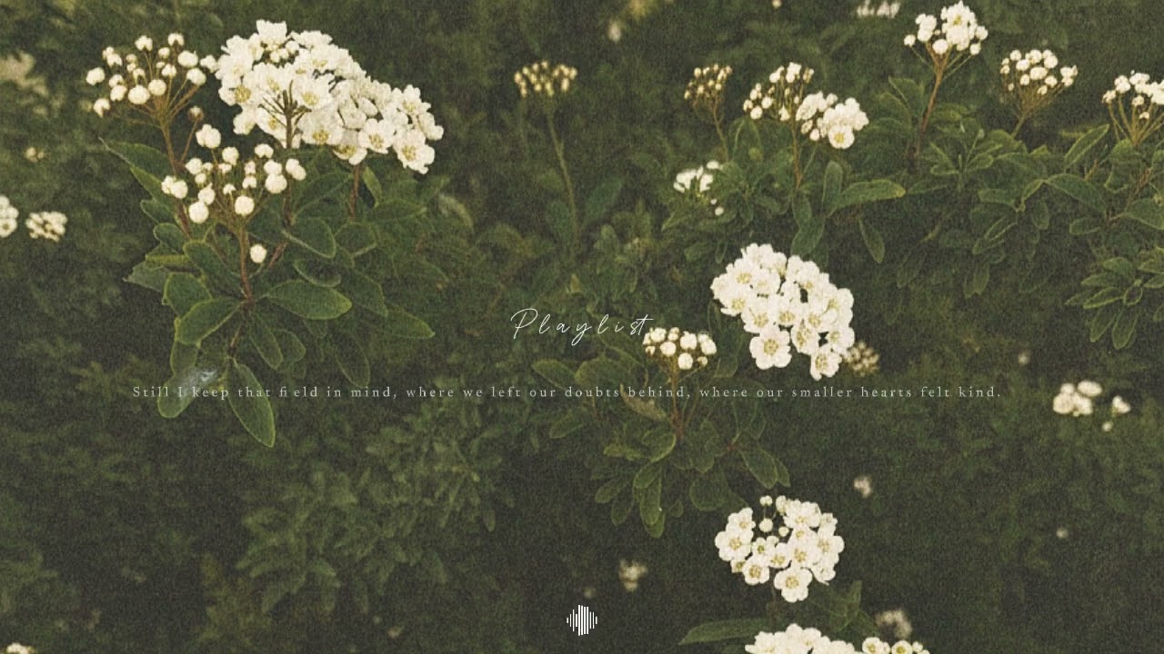 [Playlist] 겨울 끝에 피어난 작은 꽃 재즈