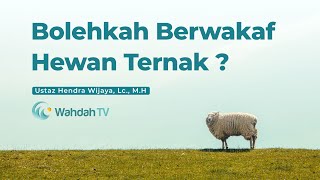 Bolehkah Berwakaf Hewan Ternak ? | Ustaz Hendra Wijaya, Lc., M.H