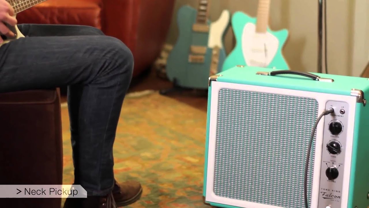 Falcon with TV Jones Power'tron