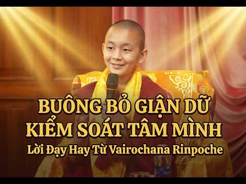 Lời Dạy Thực Tế Từ Vairochana Rinpoche -  Giận Dữ Trước Khi Nó Chi Phối Bạn