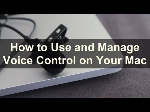How to Use and Manage Voice Control on Your Mac?