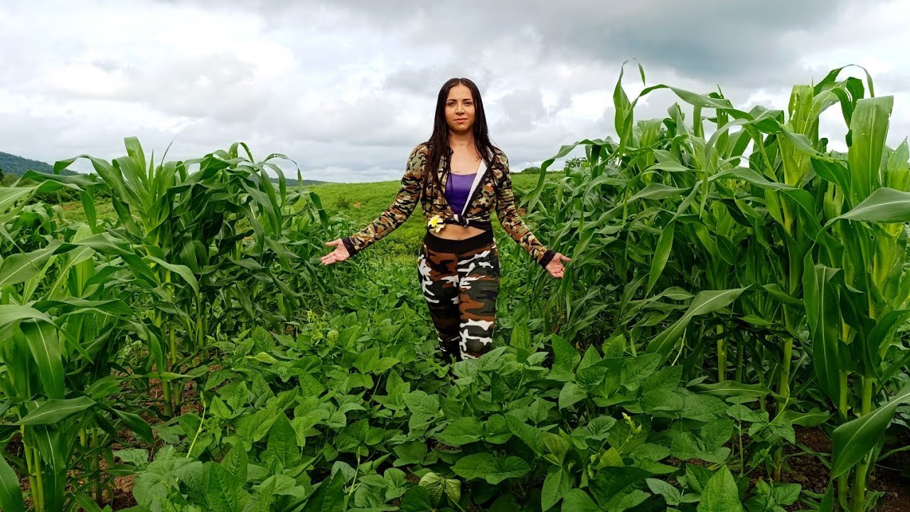 CAPINANDO O SÍTIO DO MEU PAI COM A ROÇADEIRA,E MOSTREI O PLANTIU!😱😱🌿