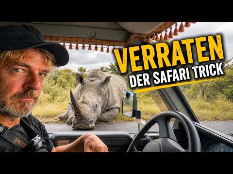 Warum sahen wir plötzlich viel mehr Tiere als alle anderen? | Krüger Park EP171