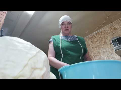 Снежный день ,квашу капусту .