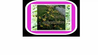 Dubsmash  flute pramadavanam screenshot 5