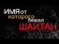 Умар ибн аль-Хаттаб — человек, которого боялся сам шайтан ⚡🕋 | @Faith Echoe