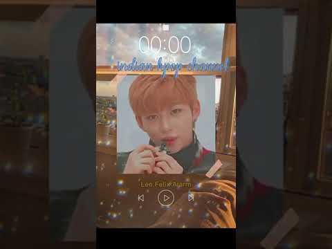 LEE FELIX WAKEY WAKEY ALARM Felix Wakey Wakey