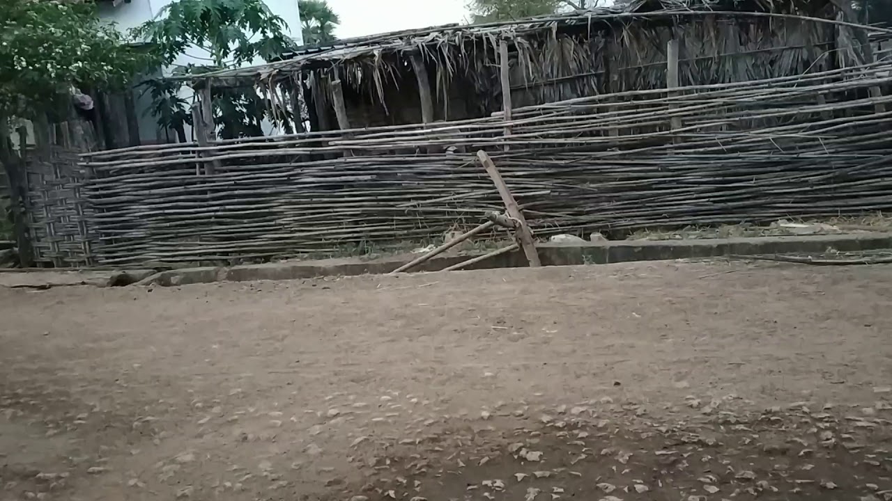 Marathi vlog || Gadchiroli House System || Marathi Gender Channel