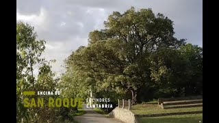 La Encina de San Roque. Colindres (Cantabría)