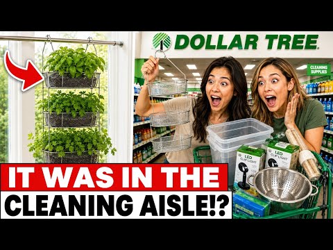 15 Dollar Tree Indoor Garden Hacks That Actually Work This Winter🔥