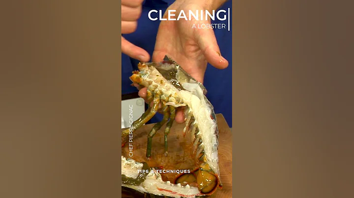 Cleaning a Lobster | Chef Pierre Gignac | Tips #shorts - DayDayNews