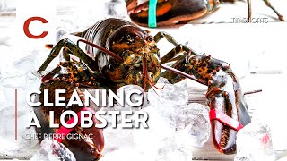 Cleaning a Lobster | Chef Pierre Gignac | Tips #shorts