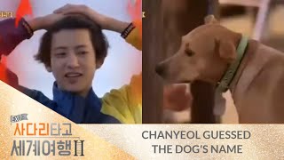 Chanyeol guessed the dog's name! [EXO Ladder Season 2]