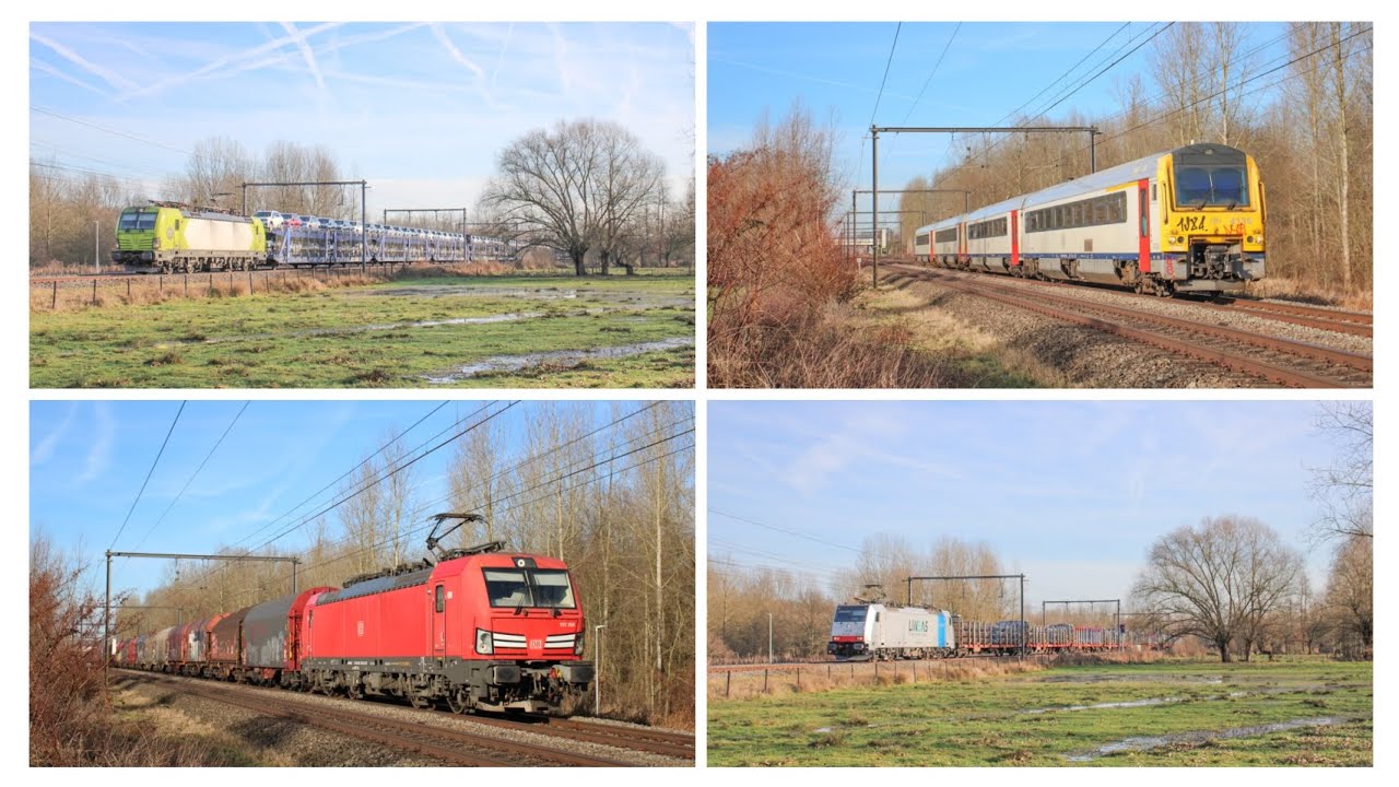 Treinen in diepenbeek 17 Januari 2026