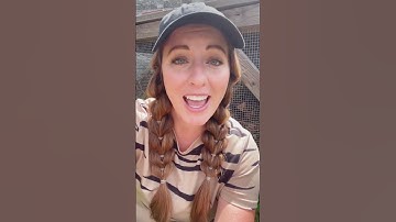 What is compost and why should you use it? #composting #beginnergardening